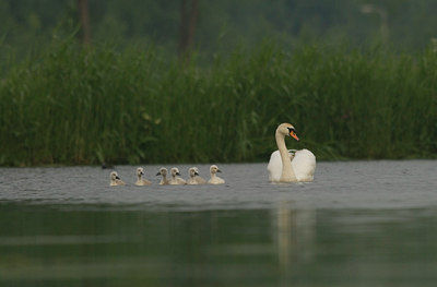 BUITEN BEELD Foto: 27186