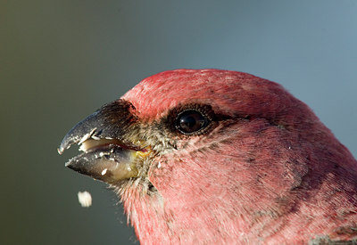 BUITEN BEELD Foto: 27251