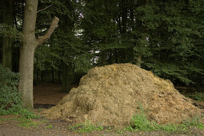 BUITEN BEELD Foto: 27269