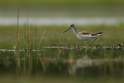 BUITEN BEELD Foto: 27317