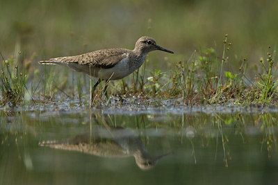 BUITEN BEELD Foto: 27337