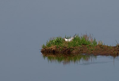 BUITEN BEELD Foto: 27350