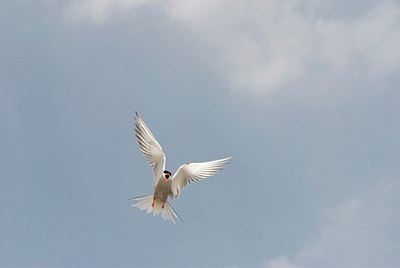 BUITEN BEELD Foto: 27366