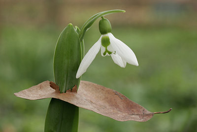 BUITEN BEELD Foto: 27370