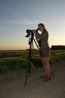 BUITEN BEELD Foto: 27377