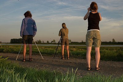BUITEN BEELD Foto: 27380