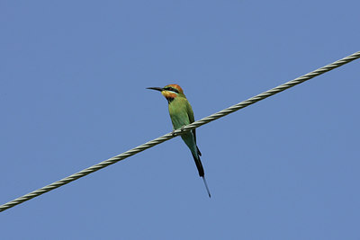 BUITEN BEELD Foto: 27435
