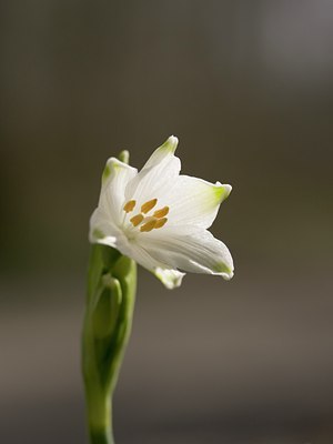 BUITEN BEELD Foto: 27450