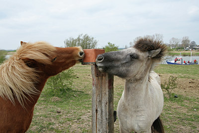 BUITEN BEELD Foto: 27463