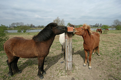 BUITEN BEELD Foto: 27464