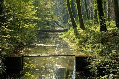BUITEN BEELD Foto: 27468