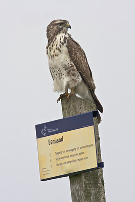 BUITEN BEELD Foto: 27493