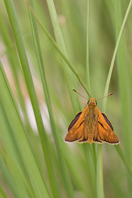 BUITEN BEELD Foto: 27507