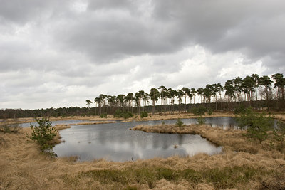 BUITEN BEELD Foto: 27515