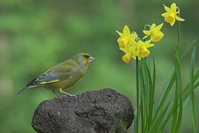 BUITEN BEELD Foto: 27561