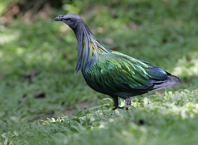 BUITEN BEELD Foto: 27576