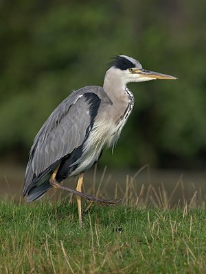 BUITEN BEELD Foto: 27625