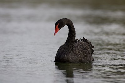 BUITEN BEELD Foto: 27641