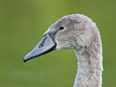 BUITEN BEELD Foto: 27644