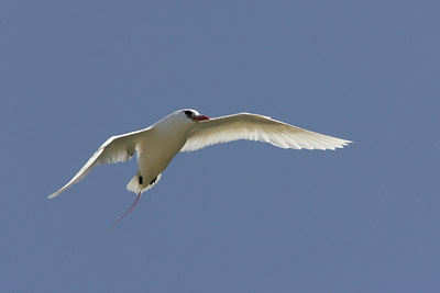 BUITEN BEELD Foto: 27651