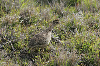 BUITEN BEELD Foto: 27654