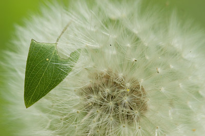 BUITEN BEELD Foto: 27690