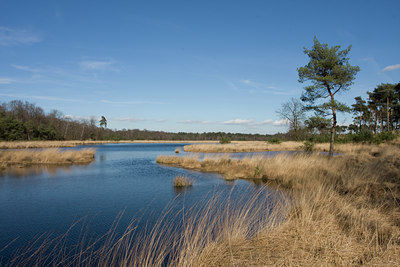 BUITEN BEELD Foto: 27697