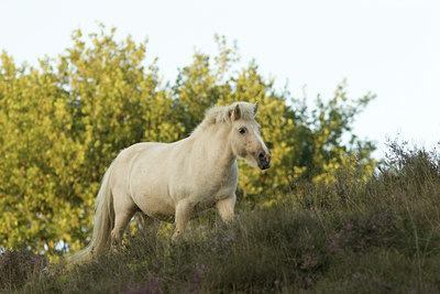 BUITEN BEELD Foto: 27702