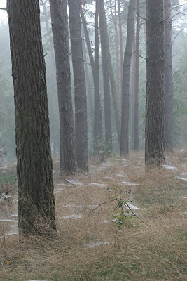 BUITEN BEELD Foto: 27786