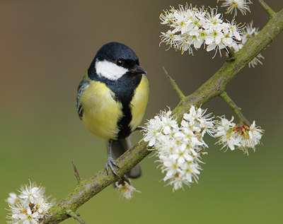 BUITEN BEELD Foto: 27835