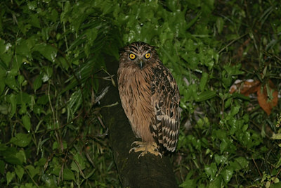 BUITEN BEELD Foto: 27875