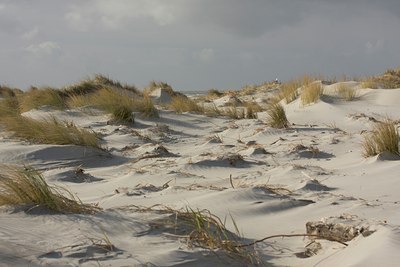 BUITEN BEELD Foto: 27903