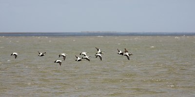 BUITEN BEELD Foto: 27936