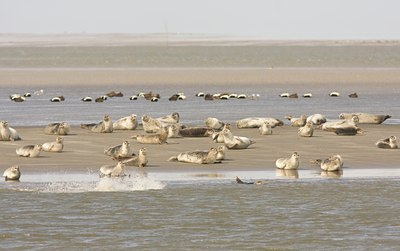 BUITEN BEELD Foto: 27951