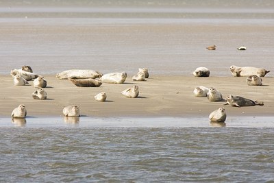 BUITEN BEELD Foto: 27953