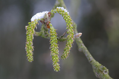 BUITEN BEELD Foto: 27986