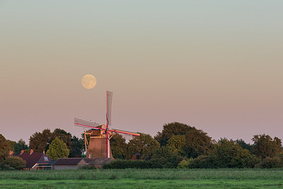 BUITEN BEELD Foto: 279039