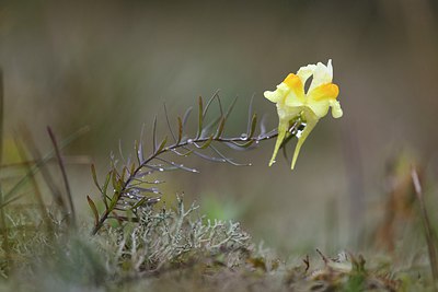BUITEN BEELD Foto: 279042