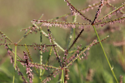 BUITEN BEELD Foto: 279046