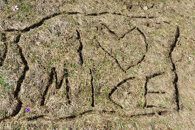 BUITEN BEELD Foto: 279087