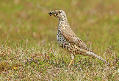 BUITEN BEELD Foto: 279093