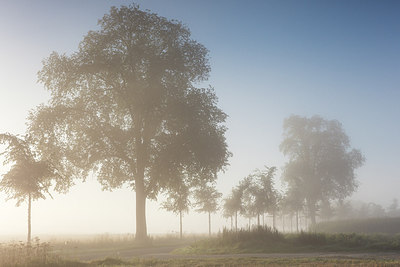 BUITEN BEELD Foto: 279116