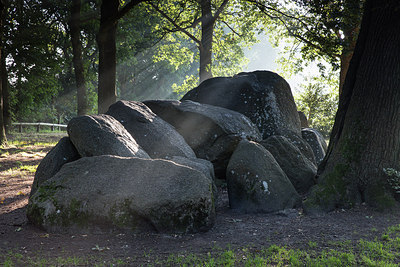 BUITEN BEELD Foto: 279117
