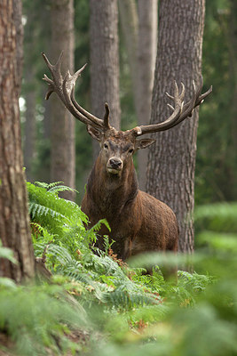 BUITEN BEELD Foto: 279134