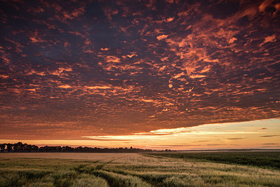 BUITEN BEELD Foto: 279149
