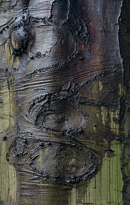 BUITEN BEELD Foto: 279151