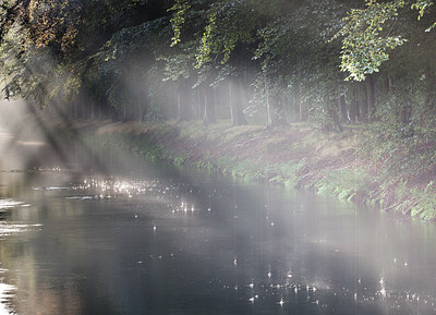 BUITEN BEELD Foto: 279154