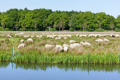 BUITEN BEELD Foto: 279257