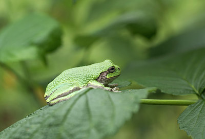 BUITEN BEELD Foto: 279358