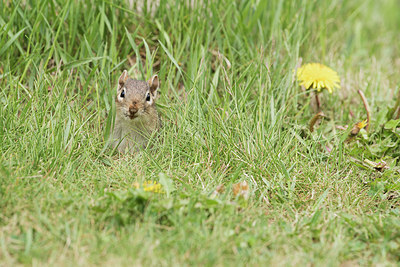 BUITEN BEELD Foto: 279360